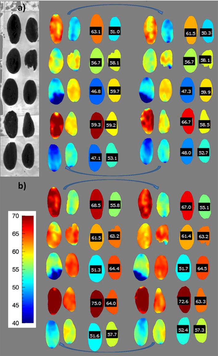 Fig. 4