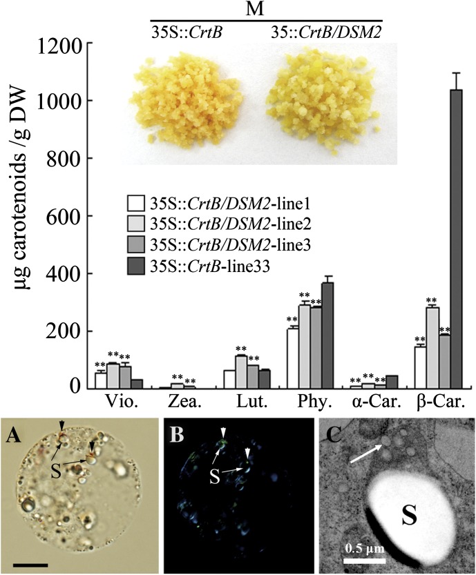 Fig. 9.