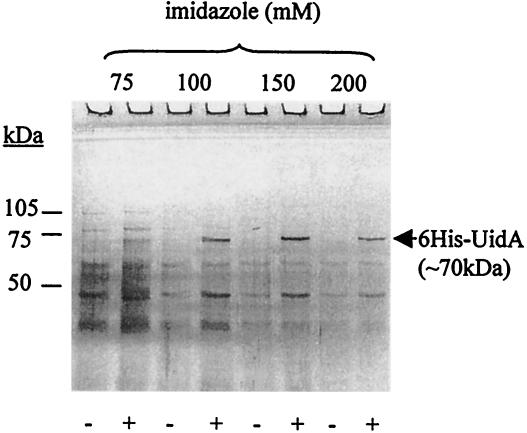 FIG. 5.