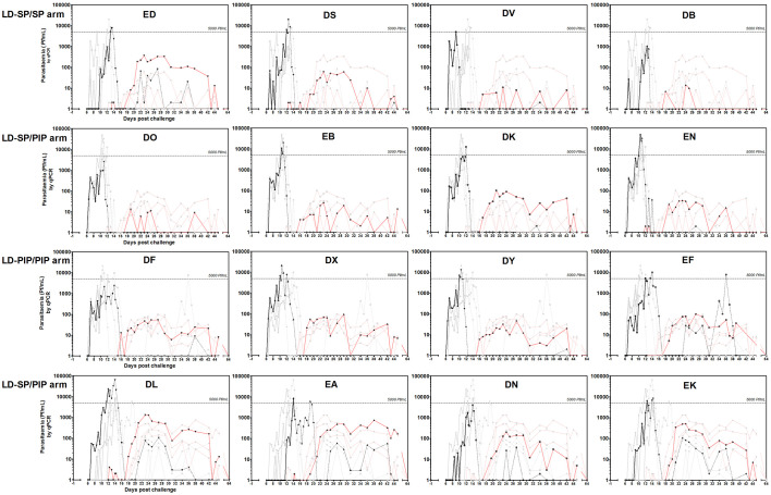 Figure 2—figure supplement 1.