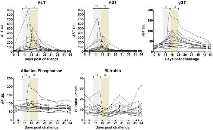 Figure 6—figure supplement 1.