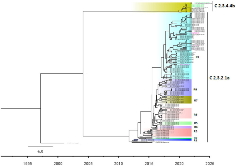 Figure 6