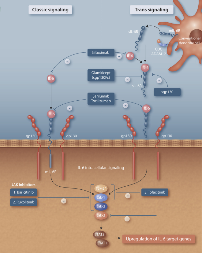 Figure 1