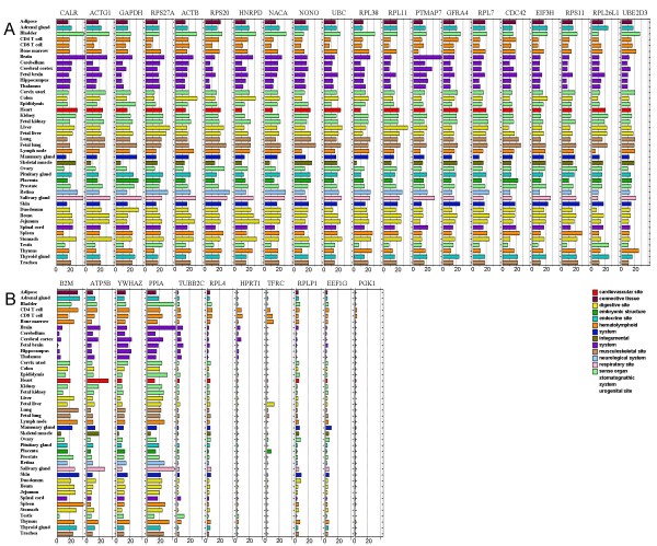 Definition, Conservation And Epigenetics Of Housekeeping And Tissue ...