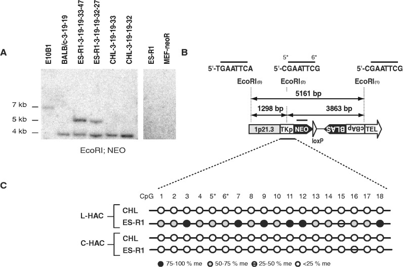 Figure 5.