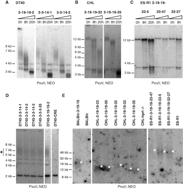 Figure 4.