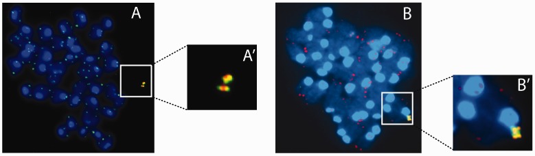 Figure 7.