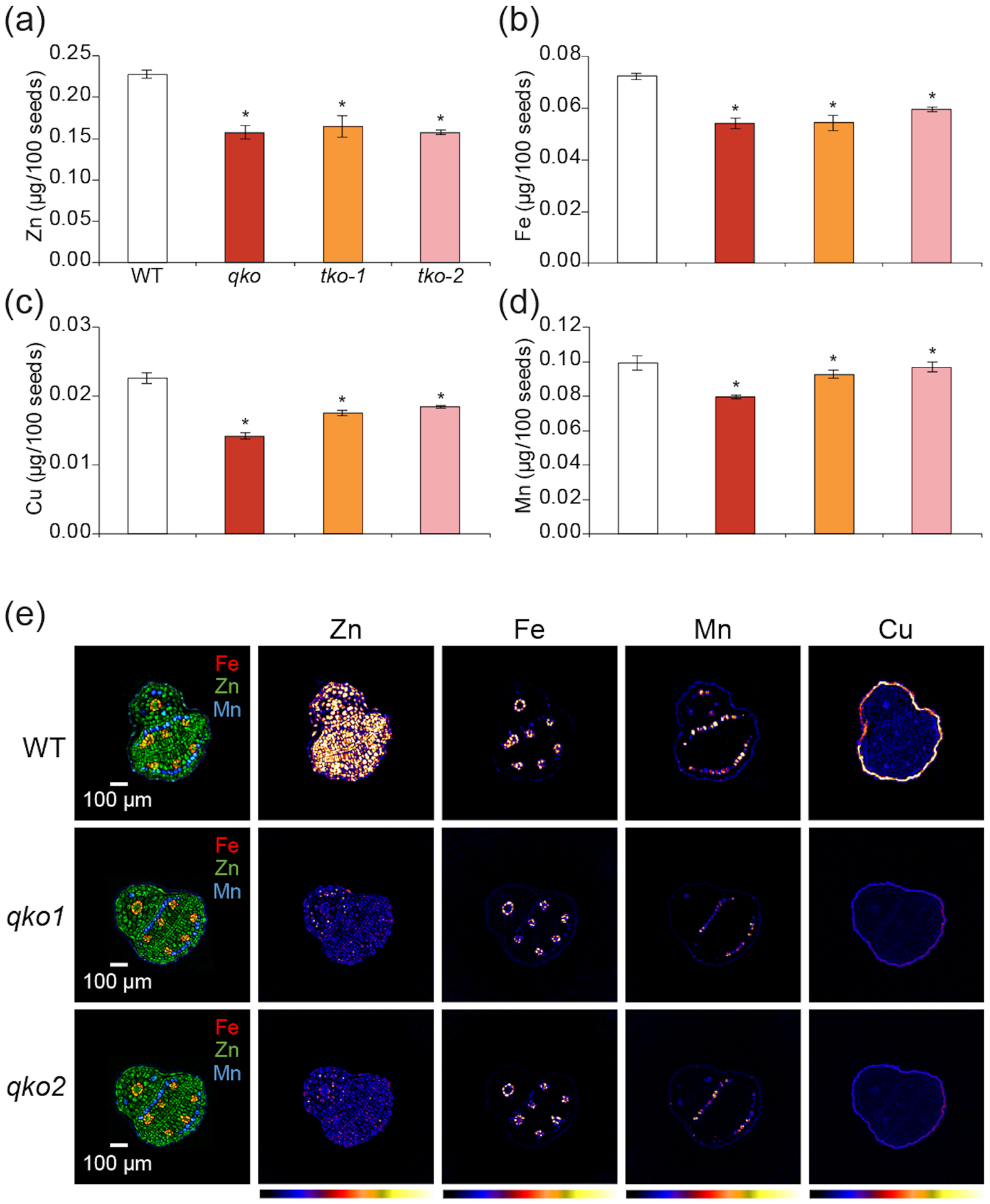 Figure 5.