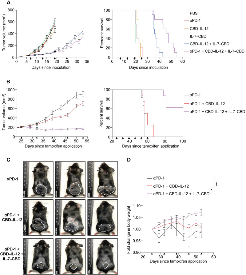 Fig. 4.