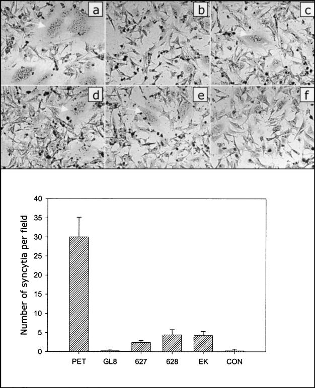 FIG. 6.