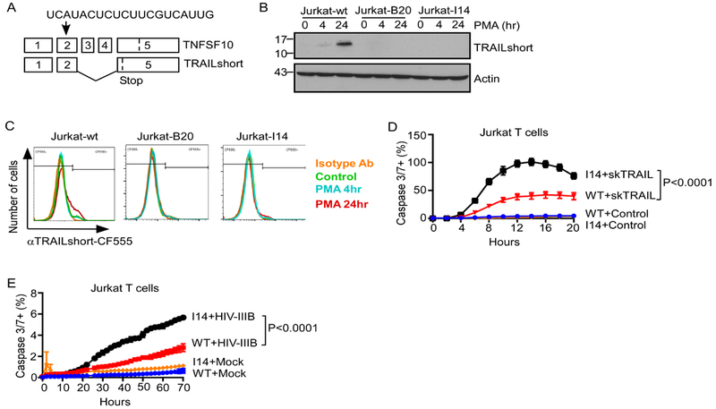 Fig 3.