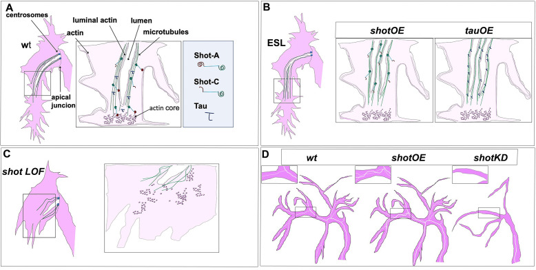 Figure 10.