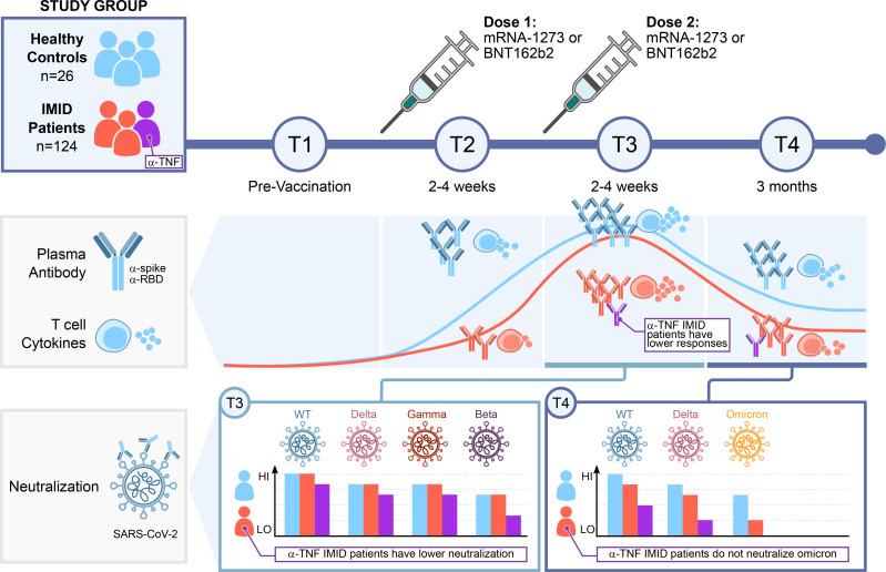 graphic file with name jciinsight-7-159721-g234.jpg