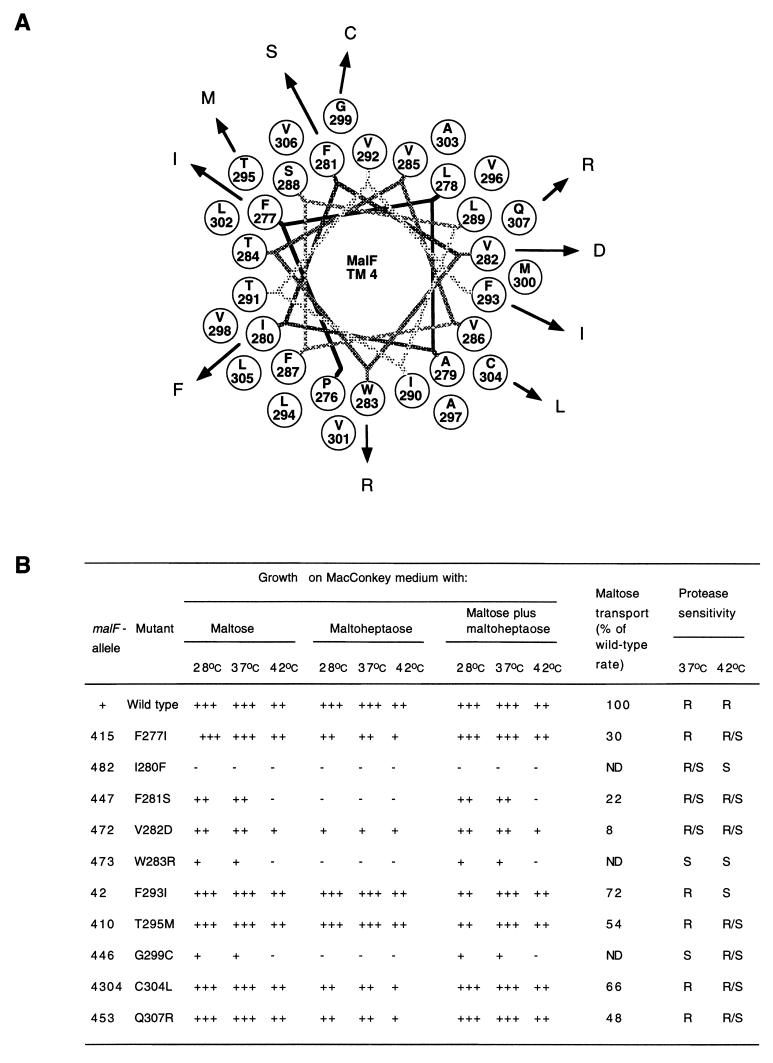 FIG. 3