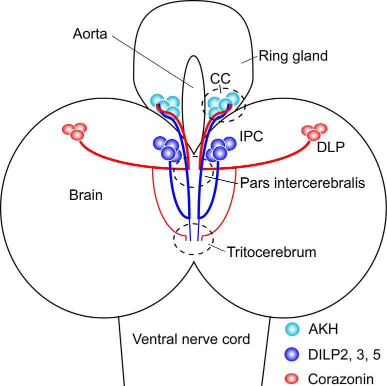 Fig. 4