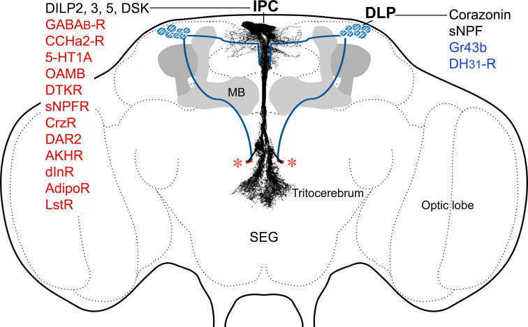 Fig. 3