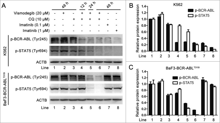 Figure 11.