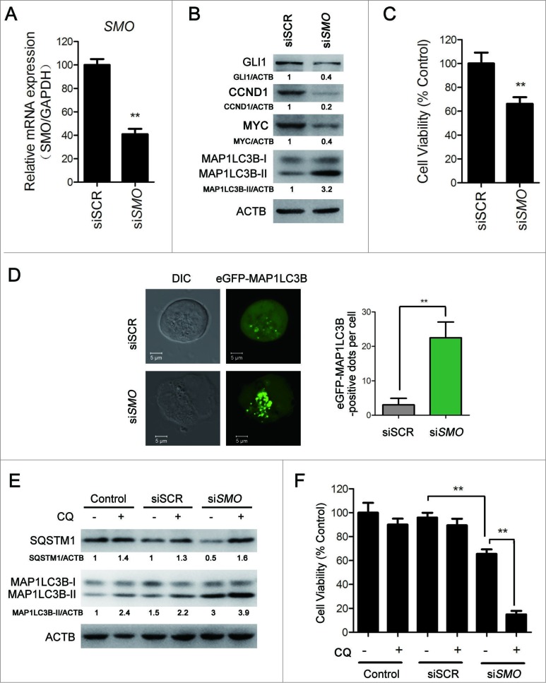 Figure 4 (See previous page).