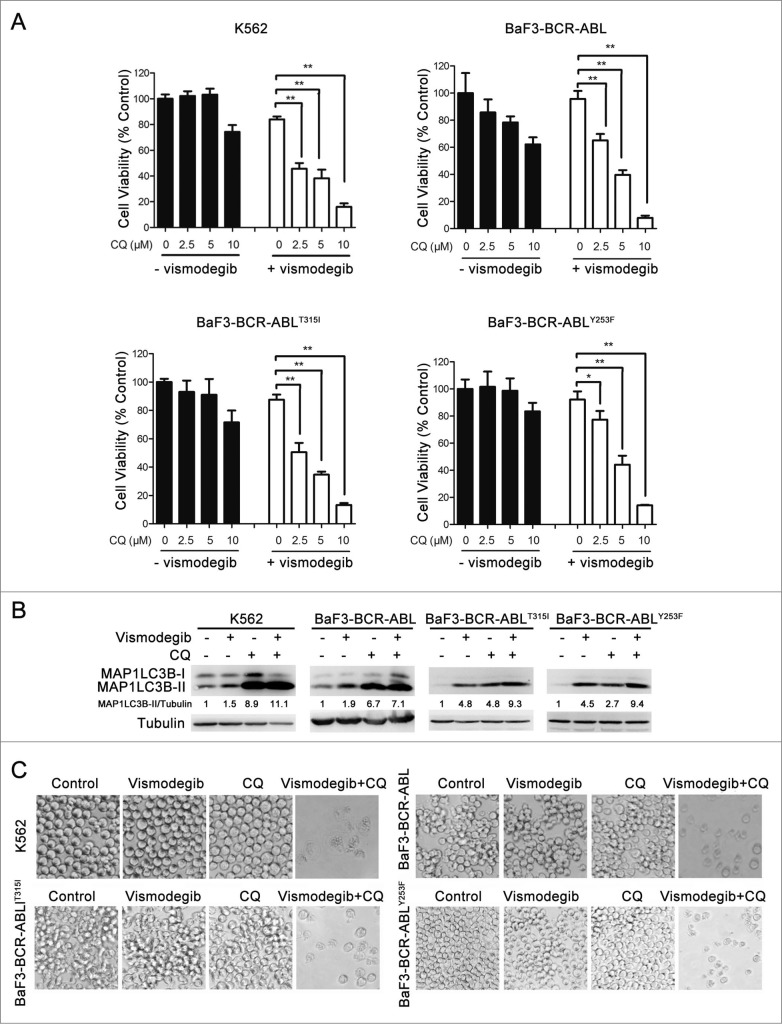 Figure 6 (See previous page).