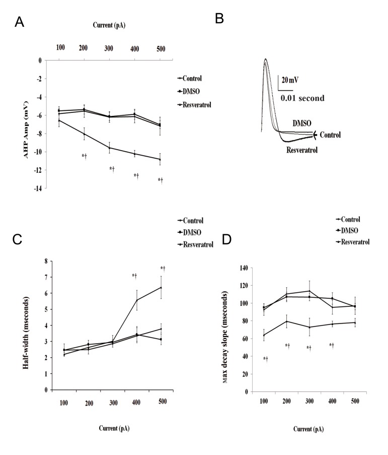 Fig.2