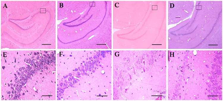 Fig 5