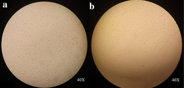 Fig. 10