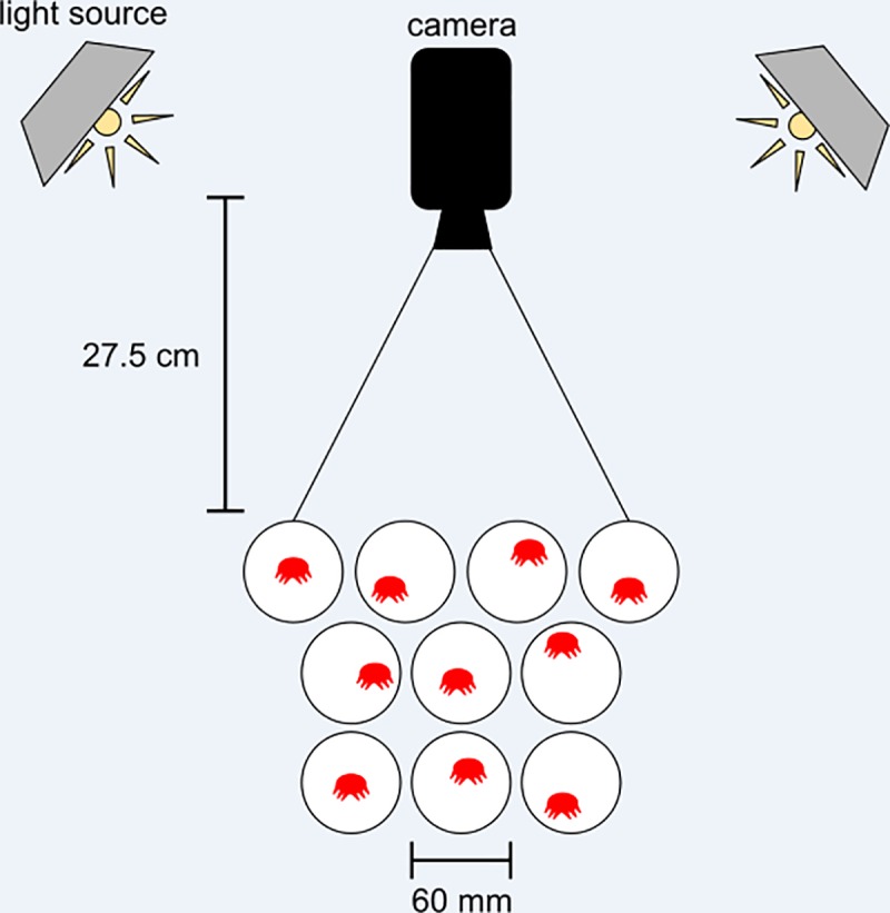 Fig 1