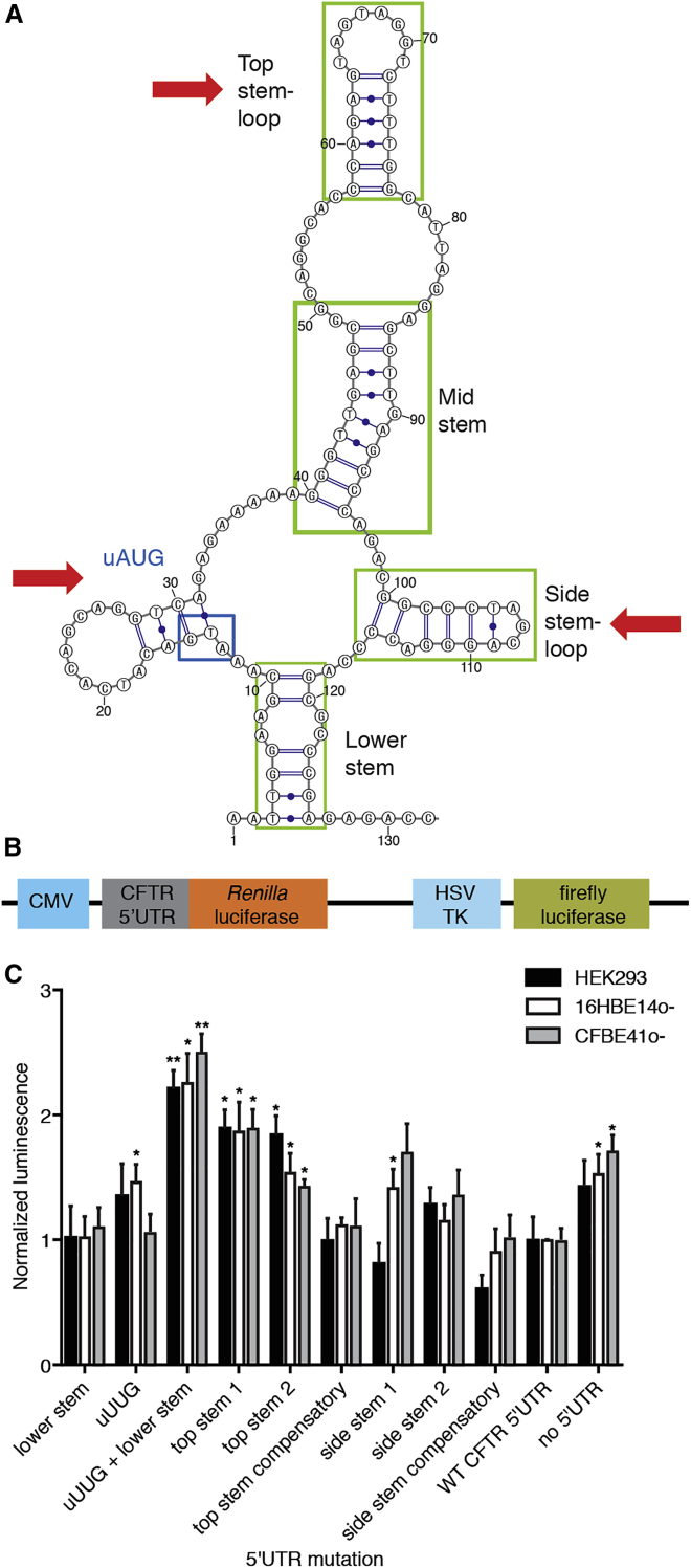 Figure 1