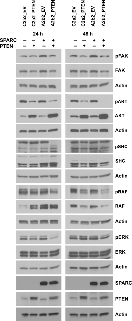 Fig. 4.