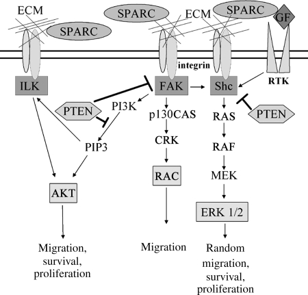 Fig. 1.