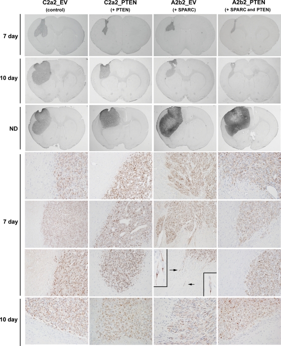 Fig. 7.