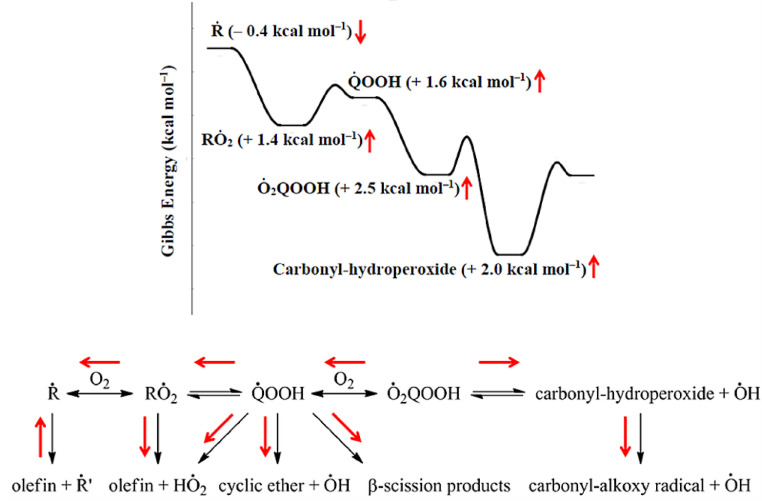 Fig. 12: