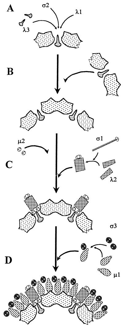 FIG. 3