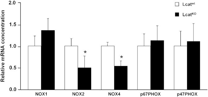 Fig. 4