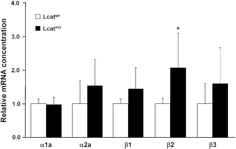 Fig. 6