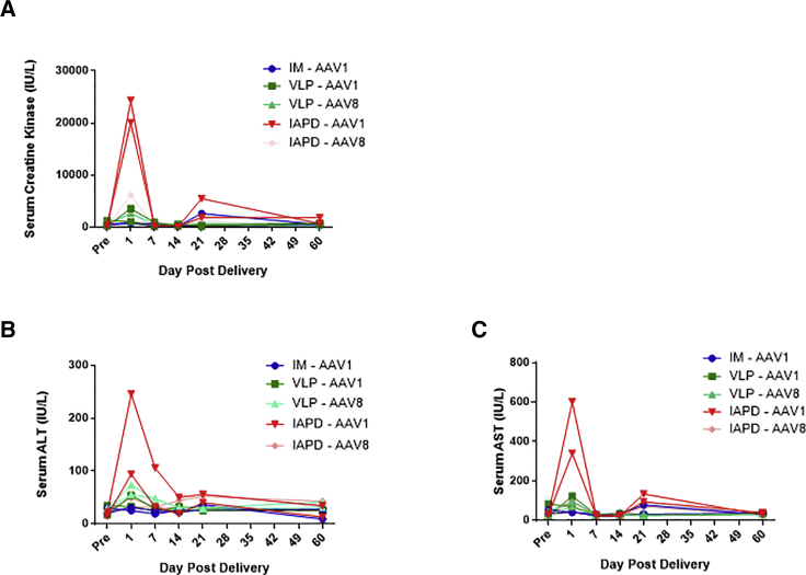 Figure 4