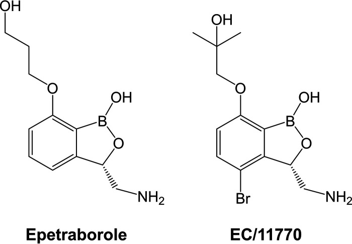 FIG 1