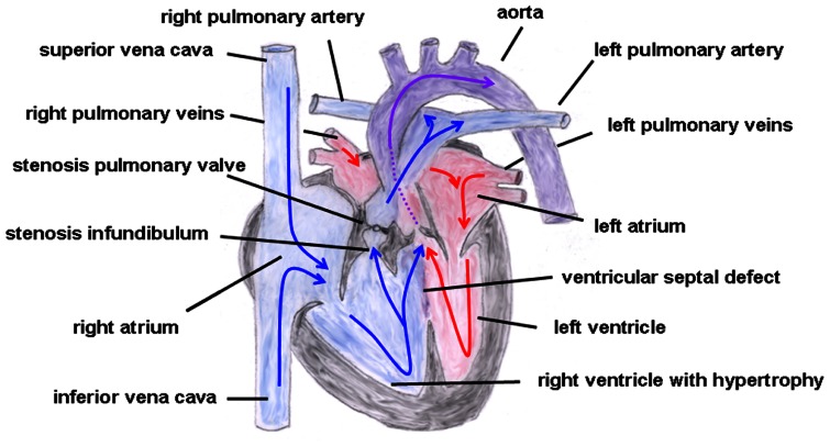 FIGURE 6