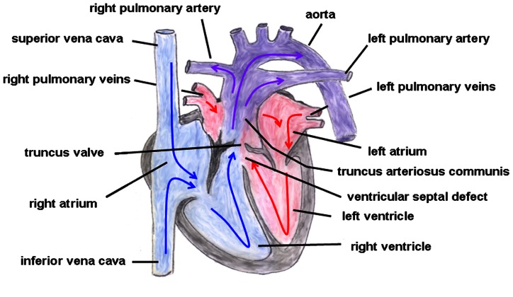 FIGURE 3