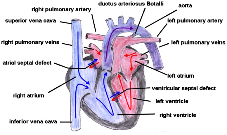 FIGURE 4