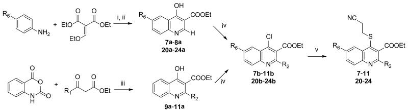 Scheme 2