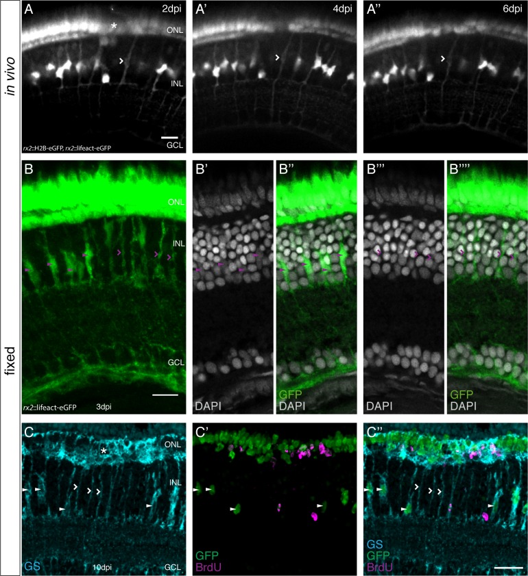 Figure 3.