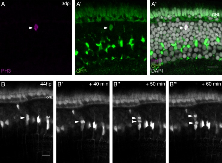 Figure 4.