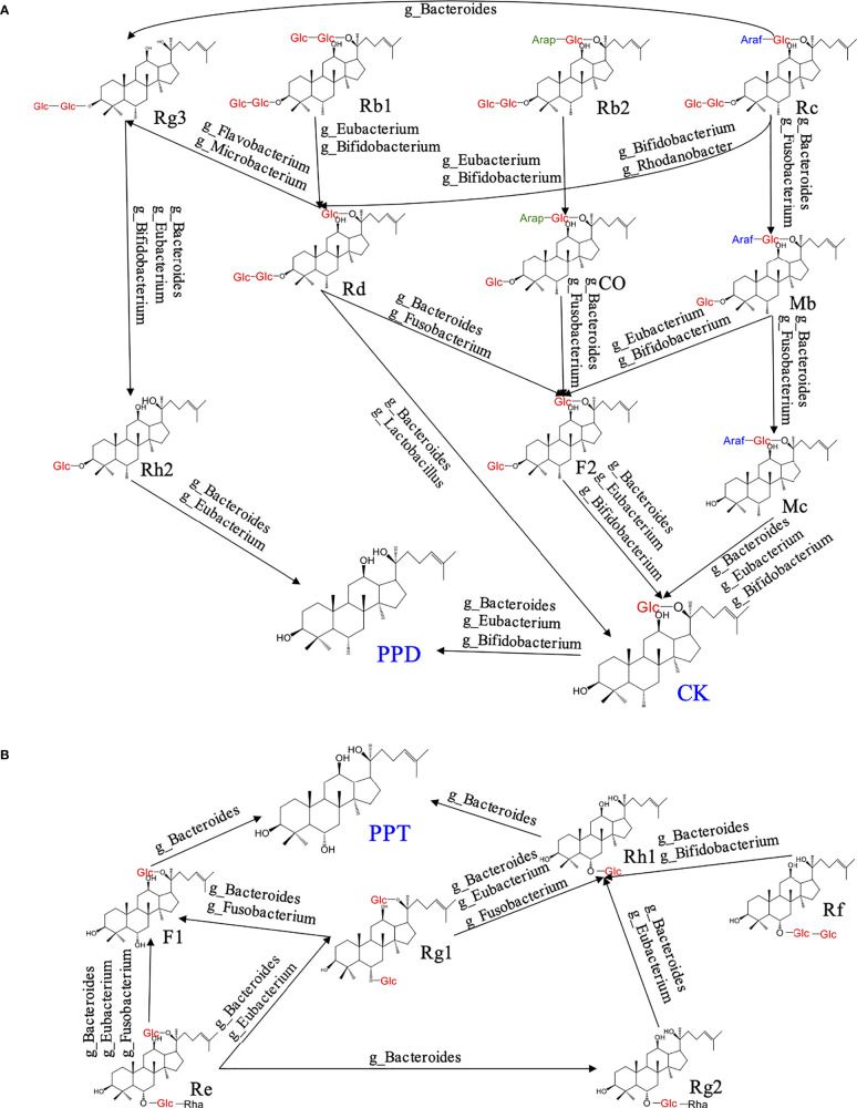 Figure 2