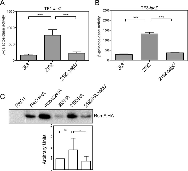 FIG 6