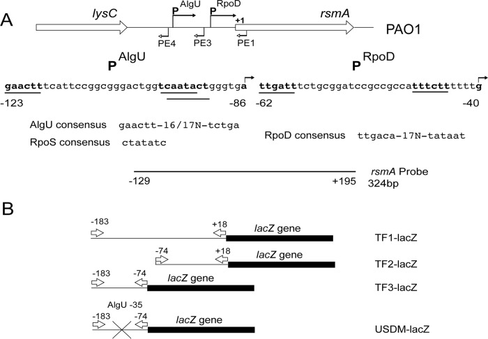 FIG 1