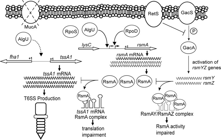 FIG 10