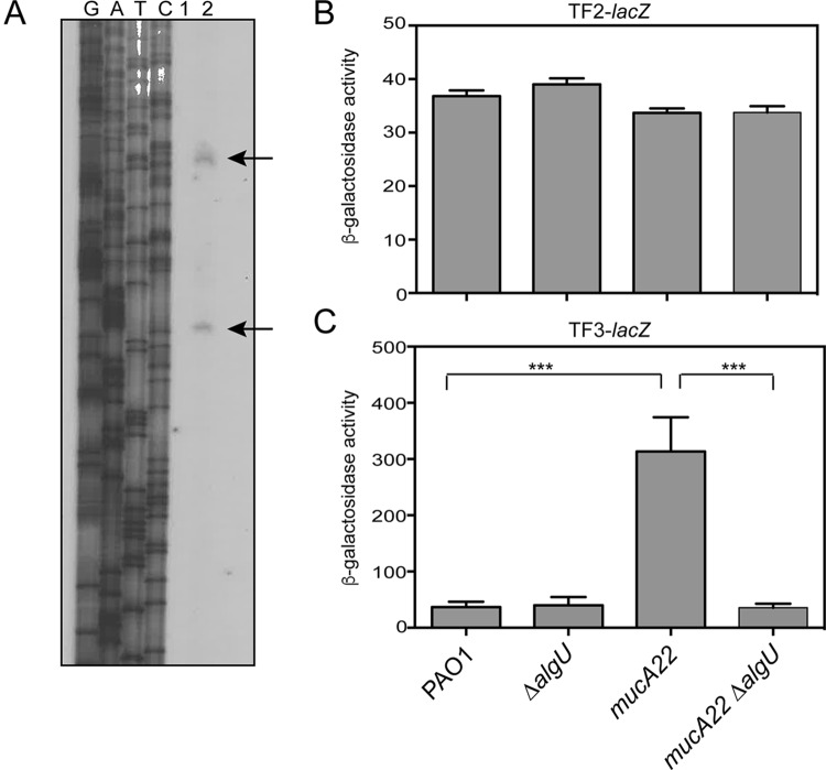 FIG 3