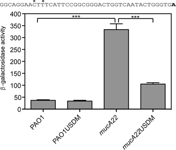 FIG 5