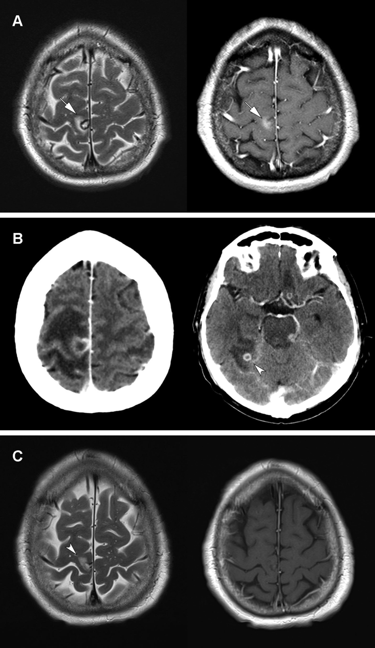 Fig. 3